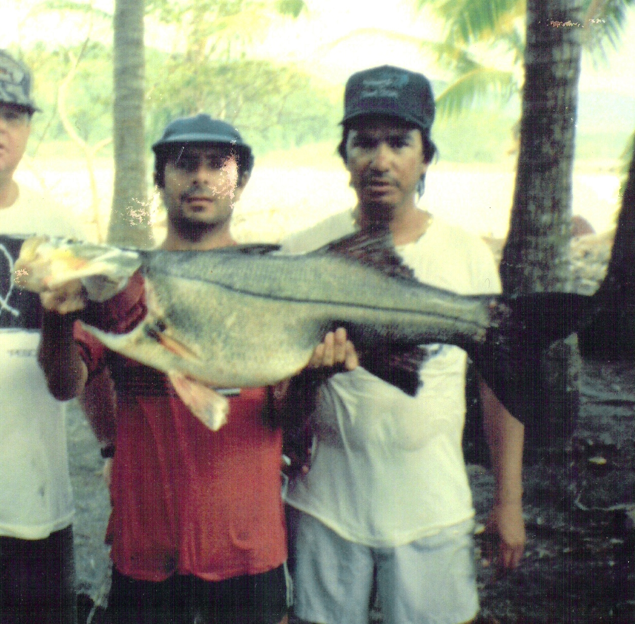 Gilbert's gaint pacific black snook in Jaco Beach,Costa Rica