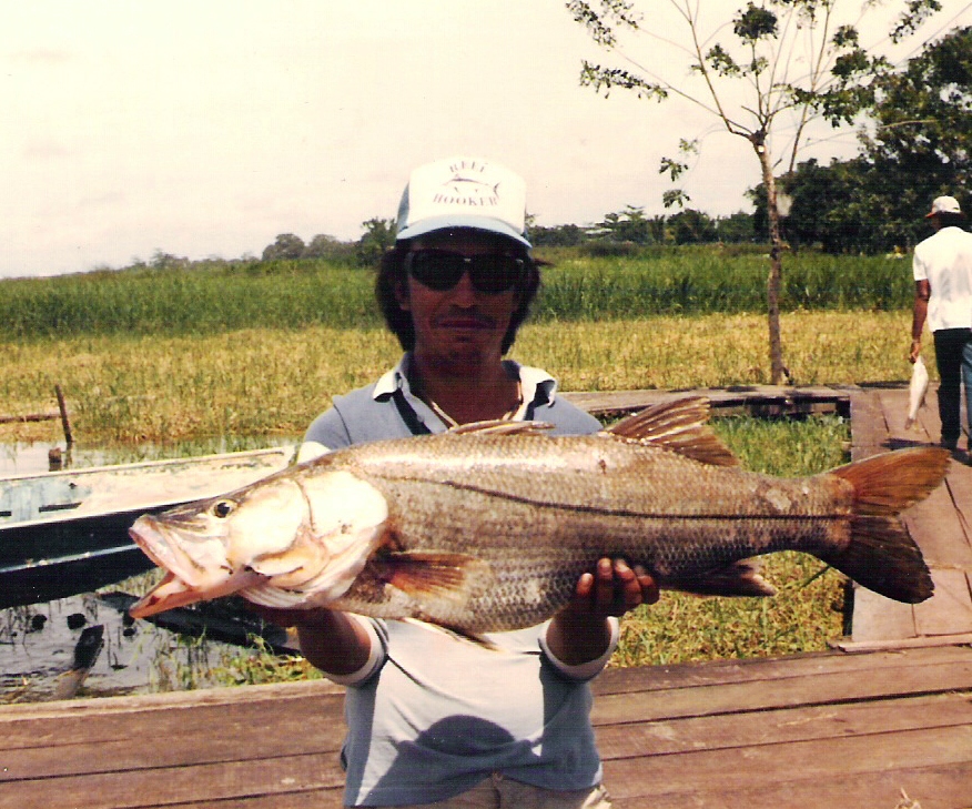 My first Costa Rican Snook