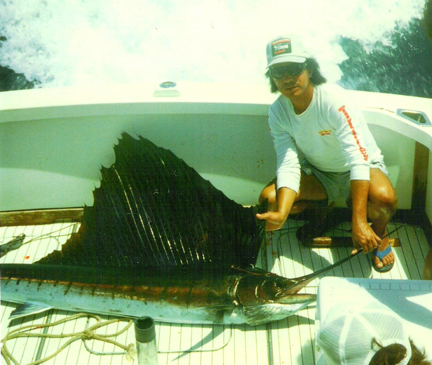 Pacific sailfish at zihuatanejo mexico